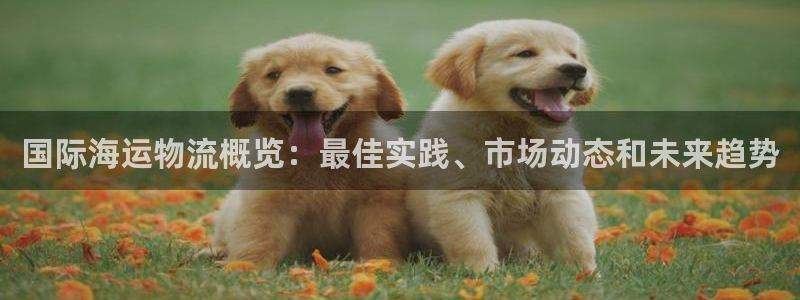 28圈pg麻将胡了2老是空转：国际海