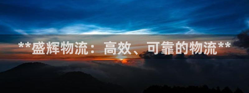 28圈反水：**盛辉物流：高效、可靠