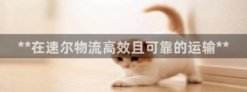 28圈.ccm2024：**在速尔物