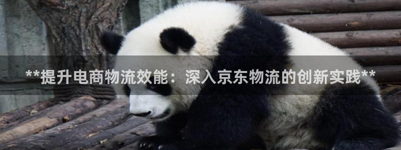 28圈加拿大app预测：**提升电商