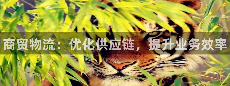28圈麻将胡了在线试玩