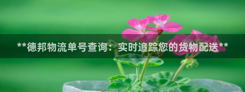 28圈官方版网站