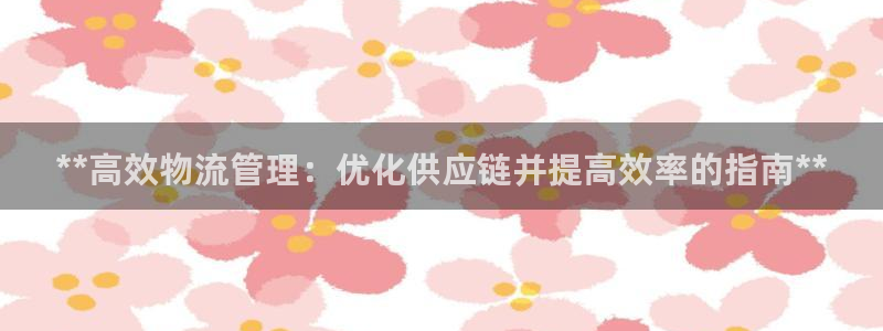 28圈加拿大是什么意思
