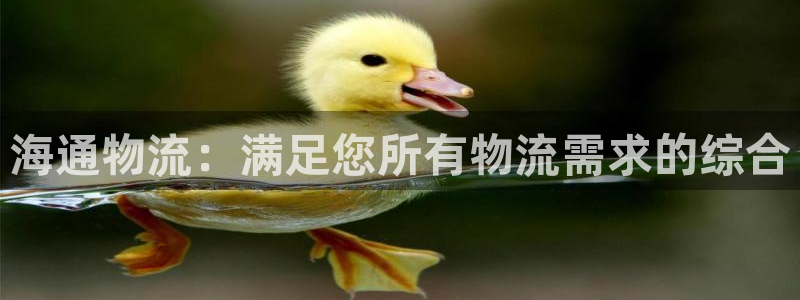 28圈分分压单双技巧：海通物流：满足