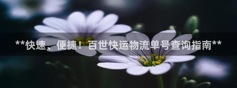 28圈加拿大pc预测