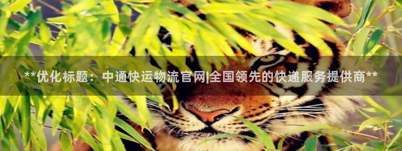 28圈官方官网版