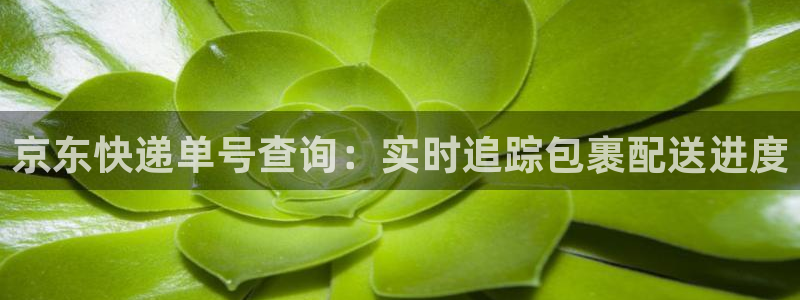 28圈初始密码在哪里修改的