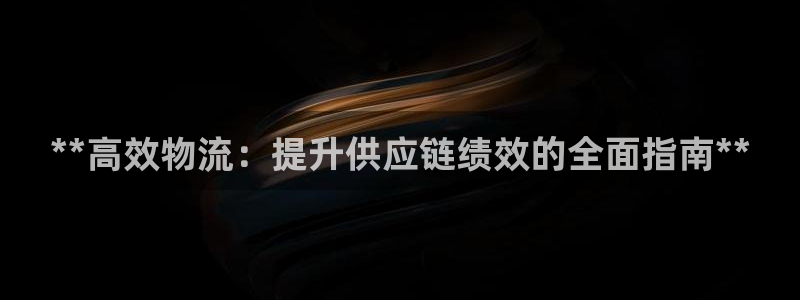 28圈游戏：**高效物流：提升供应链