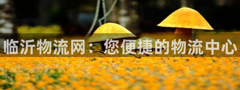 28圈推广链接是多少粉丝：临沂物流网