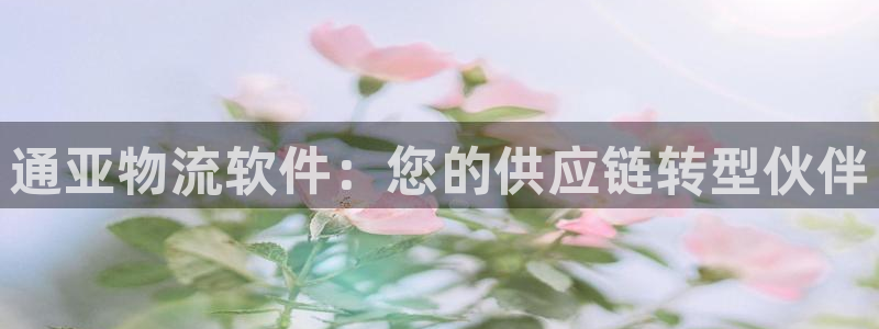 28圈反水怎么算：通亚物流软件：您的