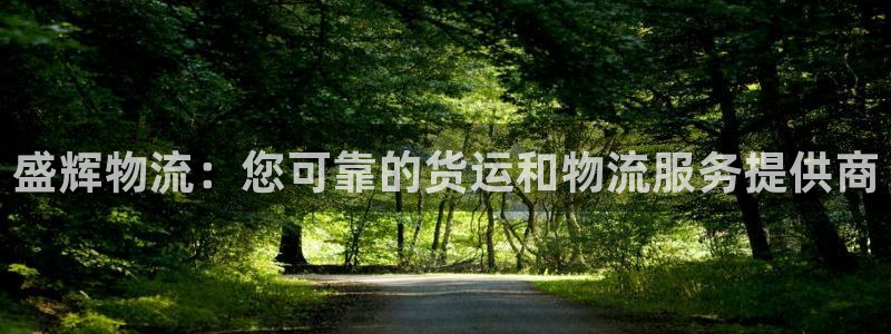 28圈注册登录：盛辉物流：您可靠的货