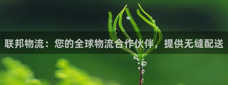 28圈官网平台下载：联邦物流：您的全