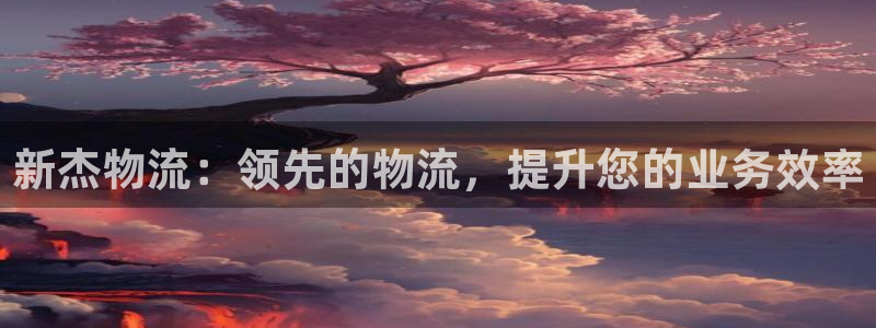 28圈加拿大官网：新杰物流：领先的物