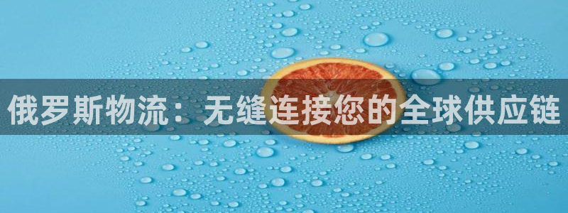 28圈娱乐官网网页：俄罗斯物流：无缝