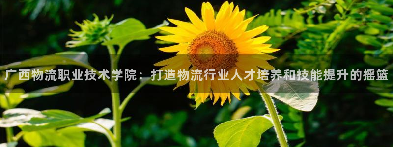 28圈软件是什么
