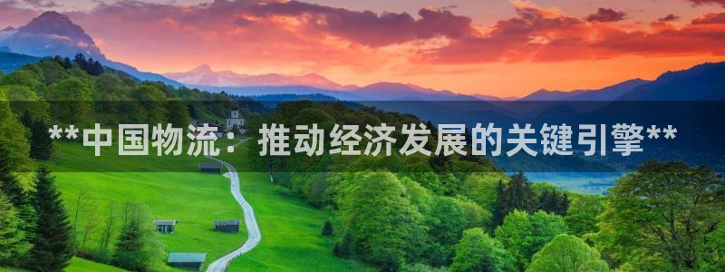 28圈官网网站：**中国物流：推动经