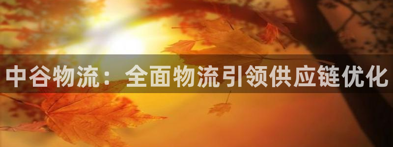 28圈.ccm2024：中谷物流：全
