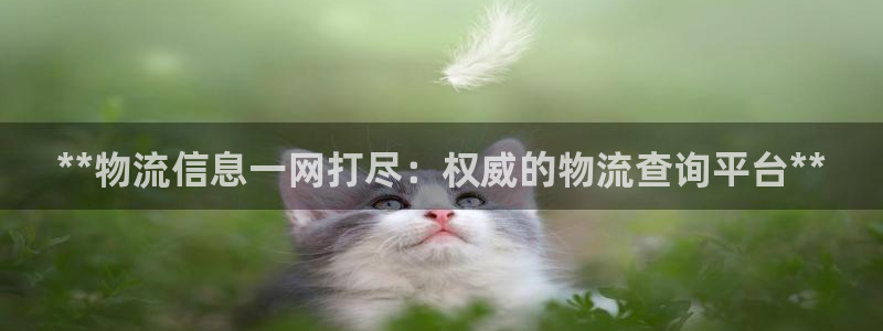 28圈注册平台：**物流信息一网打尽