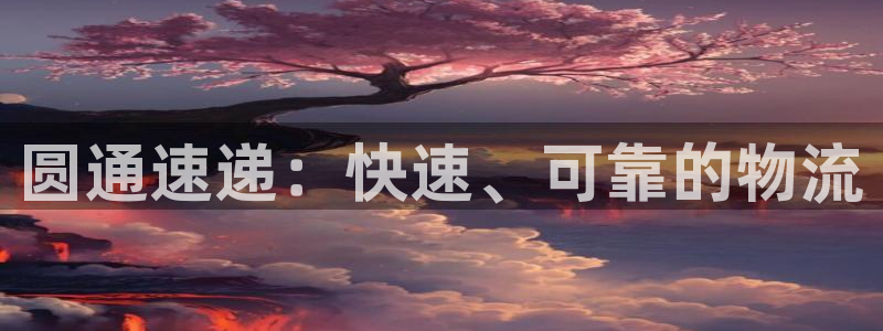 28圈注册网站链接怎么弄：圆通速递：