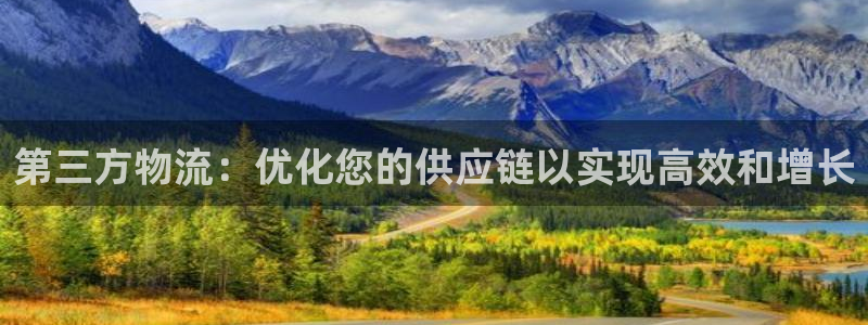 28圈官网网站：第三方物流：优化您的