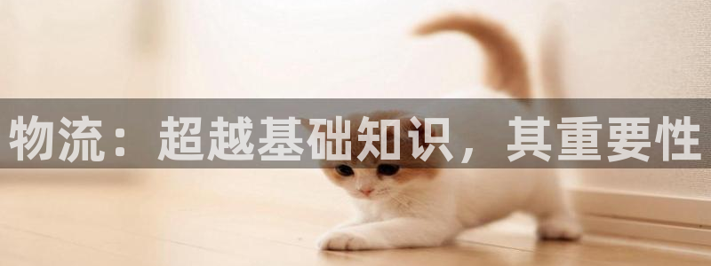 28圈app官网少林足球
