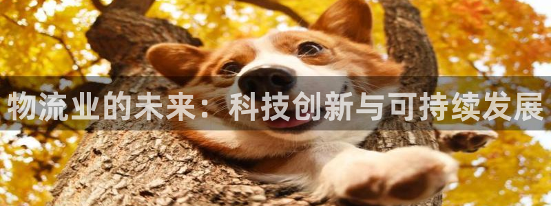 28圈为什么没有赢过一次