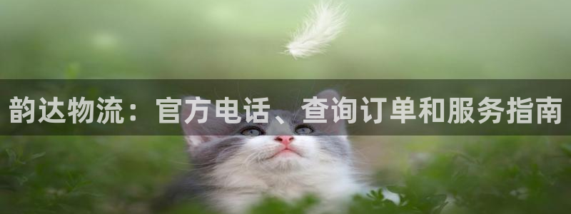 28圈怎么注册下载：韵达物流：官方电