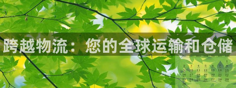 28圈选28ng官网