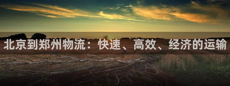 28圈代理落网