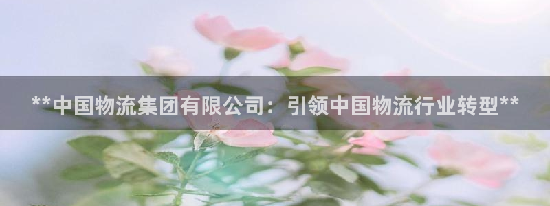 28圈pg如何退钱：**中国物流集团