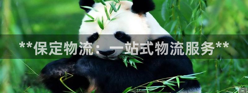 28圈官网多少