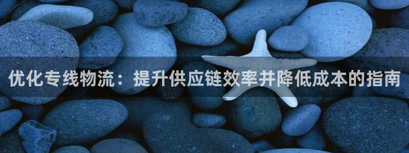 28圈退款教程：优化专线物流：提升供