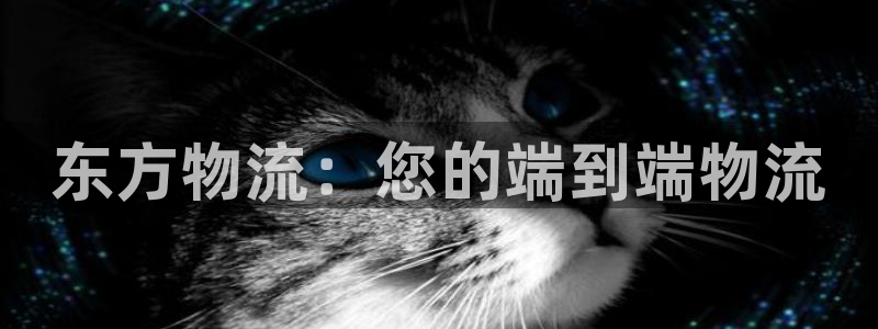 28圈注册问一问：东方物流：您的端到