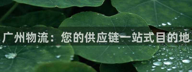 28圈.ccmpcios