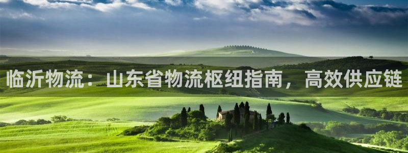 28圈黑吗：临沂物流：山东省物流枢纽