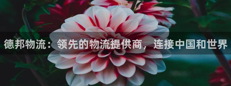 28圈下载不了