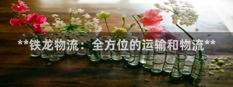 28圈模拟器下载