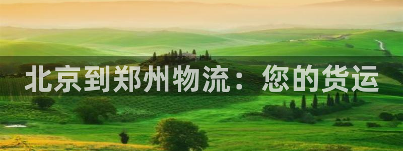 28圈电子游戏