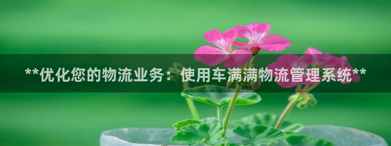 28圈如何注销账号：**优化您的物流