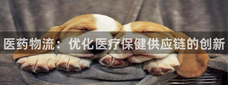 28圈预测加拿大