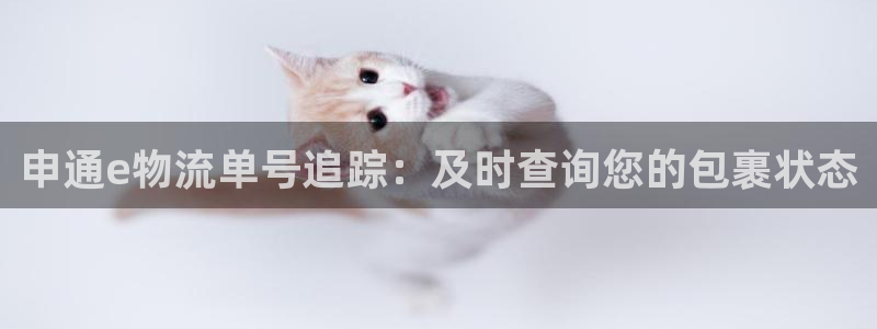 28圈登录不上咋回事:申通e物流单号