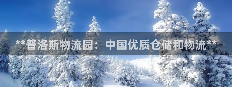 28圈注册用户名是什么：**普洛斯物
