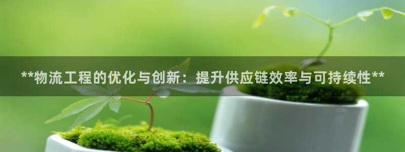 28圈反水：**物流工程的优化与创新