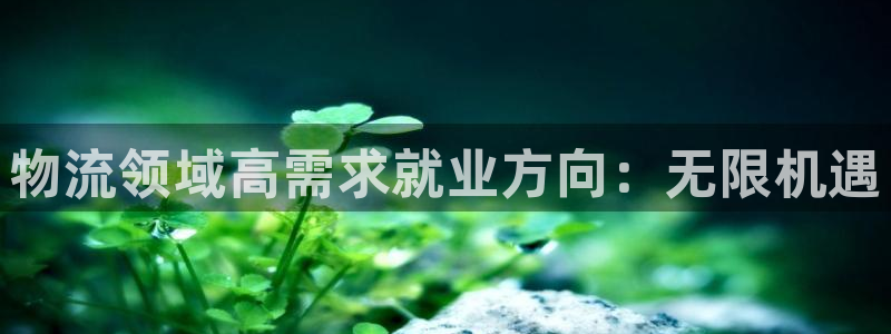 28圈哪个最赚钱：物流领域高需求就业