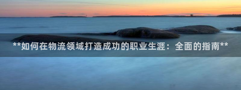 28圈吧：**如何在物流领域打造成功