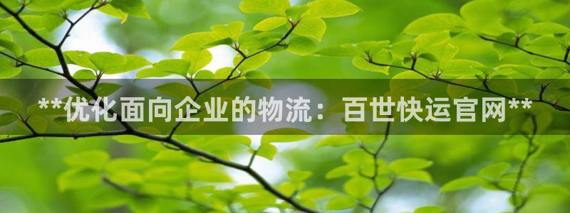 28圈官网注册：**优化面向企业的物