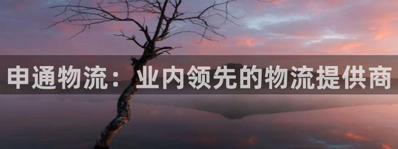 28圈官网链接