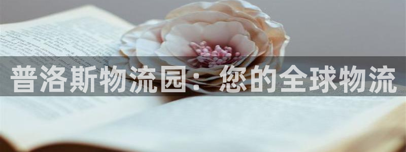 28圈预测
