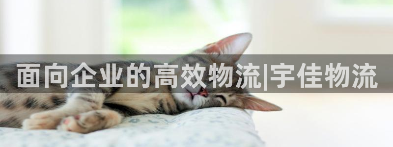 28圈下载体育