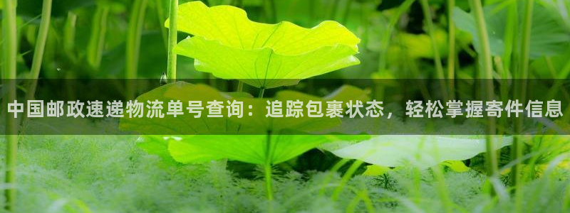 28圈p扣款什么意思